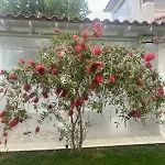 بيت للعطل White And Blue Mesimvria (Evros)