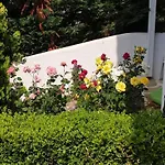 بيت للعطل White And Blue
